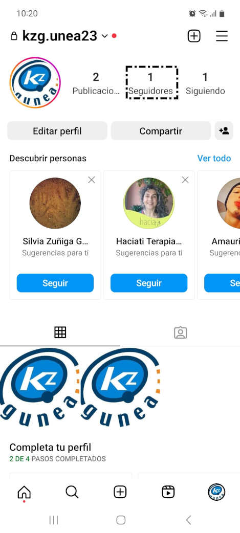 Seguidores instagram