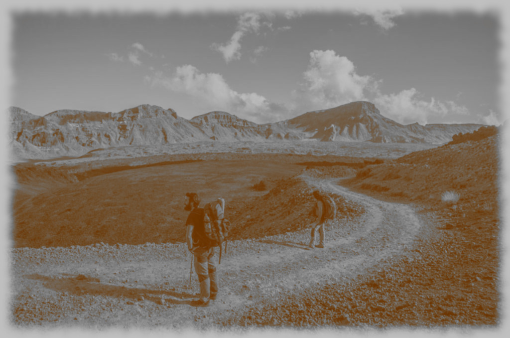 Paisaje con montañas de fondo y lavanda al frente en blanco y negro