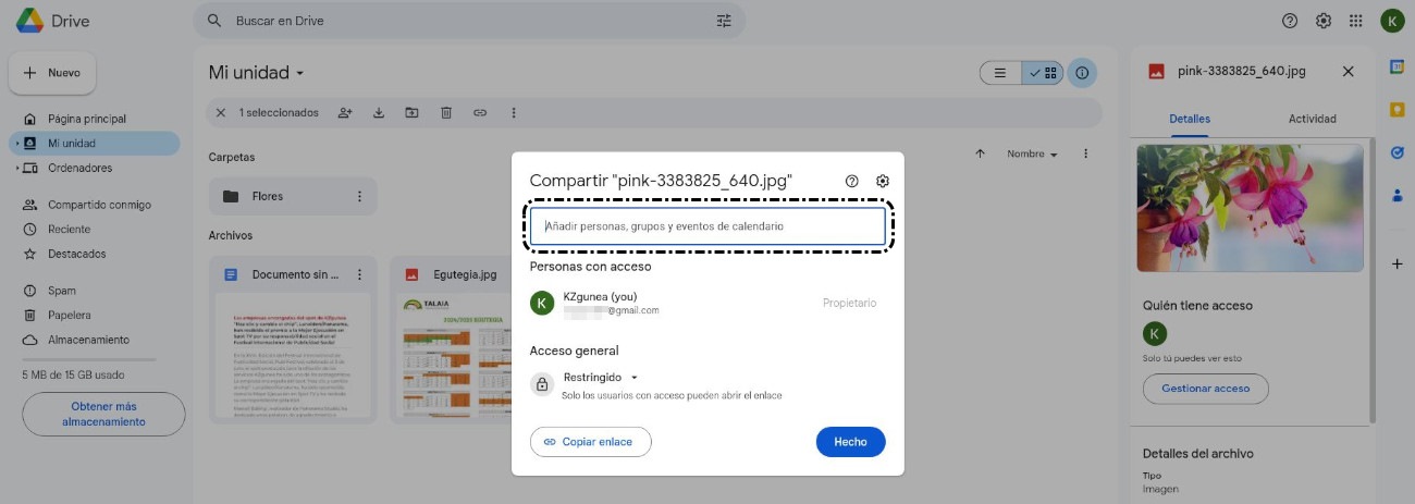 Indicar dirección de correo electrónico