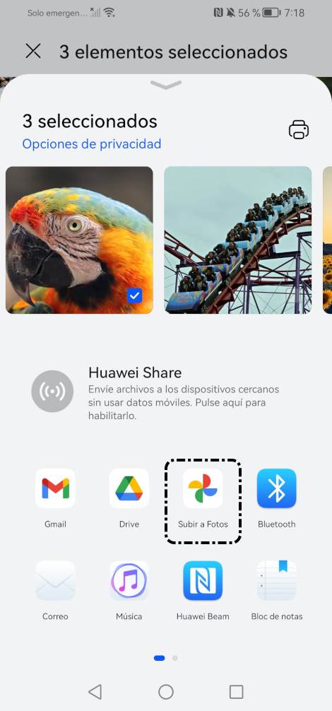 Elegir Google Fotos